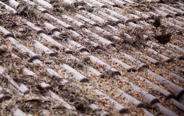 Conder Green roof cleaning companies